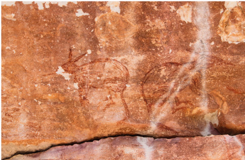 A northern section of Australia is revealing an entirely different form of rock art, previously unkn