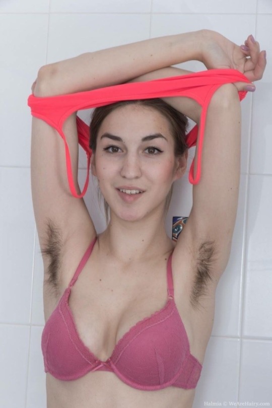 Porn photo hairypitsrule:  