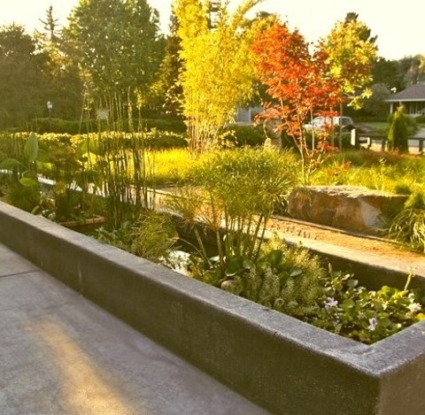 Concrete Pavers Front Yard In San FranciscoThis Is An Illustration Of A Medium-sized Transitional Front