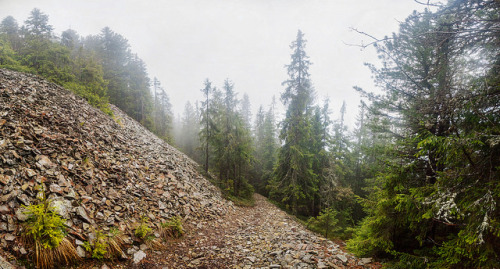 The Carpathian Mountains by Burliai on Flickr.