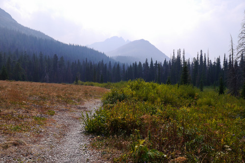 90377:Glacier National Park by Ang