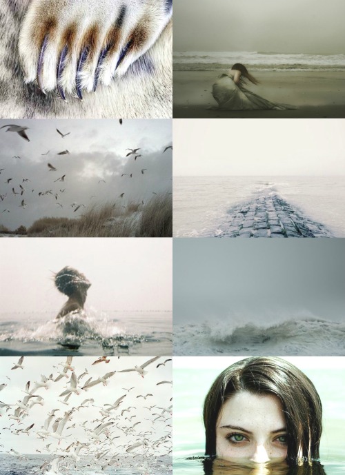 catarinaloss:a selkies song