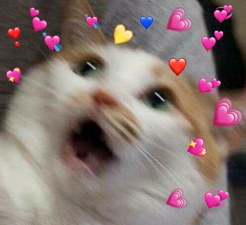 softwaring: mood