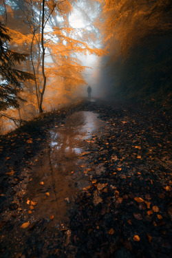 atraversso:  The Road is LOng by Adnan Bubalo