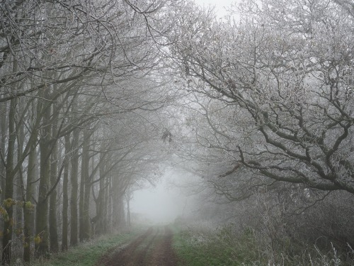 Peddars Way and Houghton, NorfolkDecember 2020