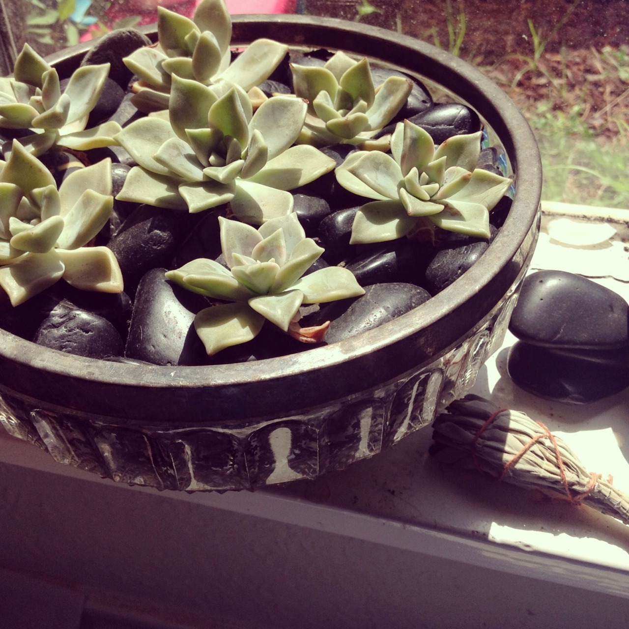 Earth Day Post - DIY Terrarium
“ Every Earth Day makes me want to get my hands dirty and plant something. Last year, it was…
”
View Post