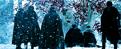 lord-snow-blog:  Game of Thrones Challenge: 1 gifset per episode 1x07 You Win or You Die 