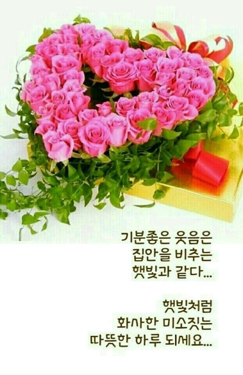 ltk7447606891: 카카오톡 좋은글과 사진들