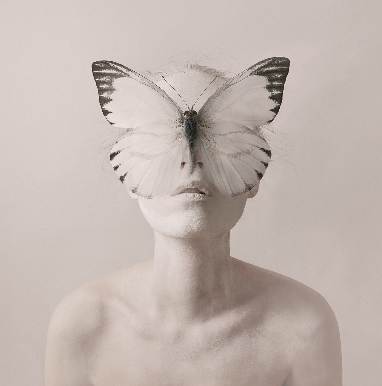 theartofmany:  Artist:  Flora BorsiTitle:  Recent Artwork 19“Recent Artwork from
