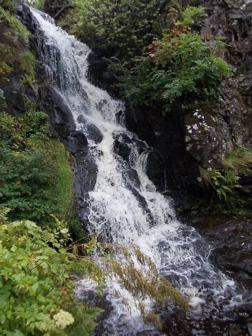 charlesreeza:One of two waterfalls in the gardens at Dunvegan Castle, Isle of Skye.