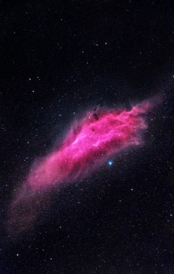 thedemon-hauntedworld:  NGC 1499 California Nebula Credit: Emil Ivanov 