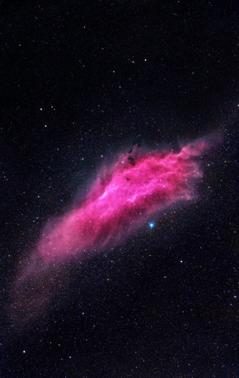 thedemon-hauntedworld:  NGC 1499 California adult photos