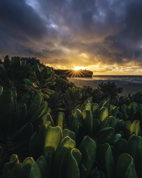 oneshotolive:Kauai sunrise [4249x5311] [OC] : ryanditch