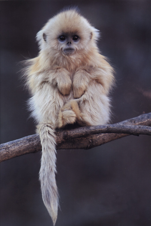 handsssalloverr:  i want you 