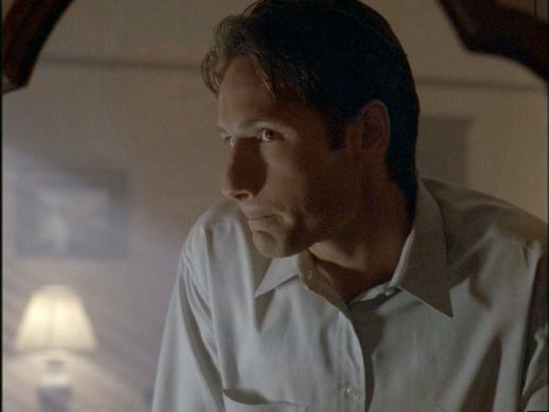 holdmyxfiles: herschelsmother:  Sanguinarium: The many faces of Fox Mulder  He is beauty, he is grac