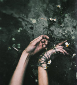 exlupus:  Floral Death by NataliaDrepina