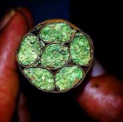 legalcannabislove:  Six Blunts In One 