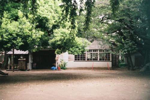 hisafoto: さまよい祐天寺 04 Yutenji, Tokyo Leica IIIb + Summitar 50mm F2.0 FUJI業務100 さまよい祐天寺シリーズ