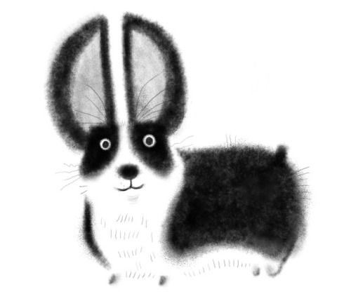 yowulf:  B/W Corgi sketch 