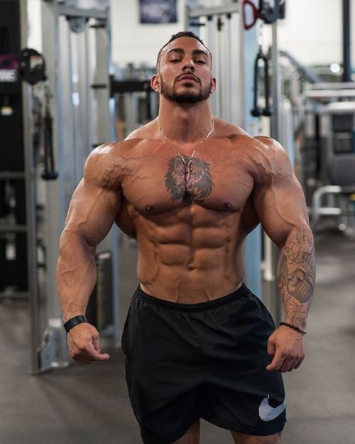 Sex whitepapermuscle:Tristen Escolastico pictures