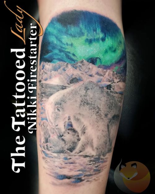 Finished this lil mama & baby polar bears under the northern lights. Graywash stuff (bears + sce