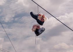 abduction:  By Brooke DiDonato  