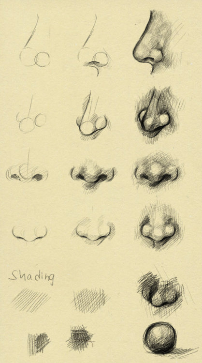 anatoref:Anatomy of the NoseTop ImageRow 2: Left, Middle, RightRow 3Row 4Row 5: Left, RightRow 6Bott