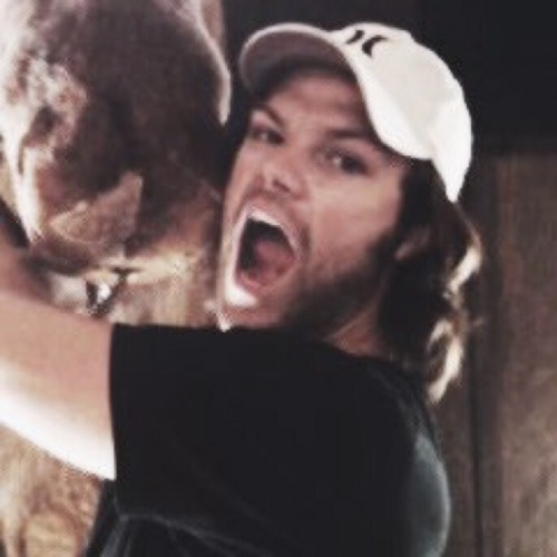 awhjared:jared padalecki icons like or reblog if you save