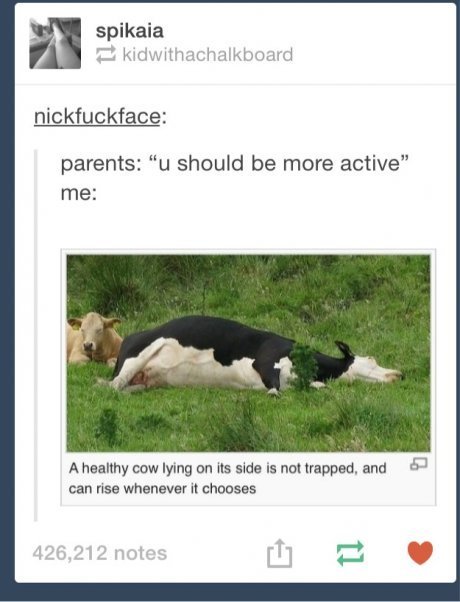 advice-animal:  New Life Quotehttp://advice-animal.tumblr.com/ 