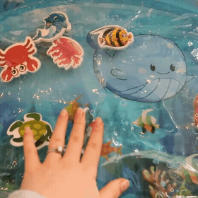 🐟 Ocean Themed Water Toys 🐢