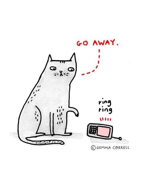 Always reblog.