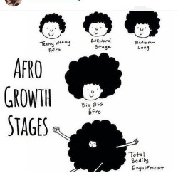 coolcalmecletic:  Rp from @naturalhairdaily