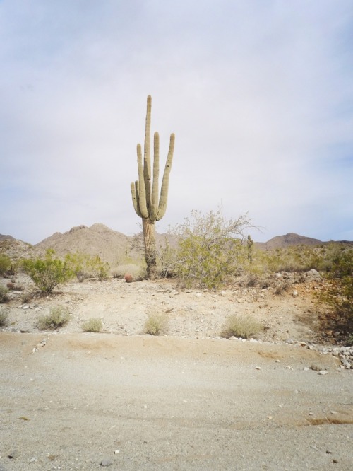  Color Study: Desert Sky Alice Blue, Baby adult photos