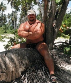 BEARSORMUSCLE