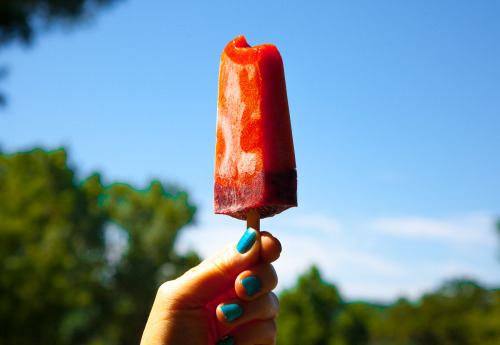 Olenko&rsquo;s Summer Fairyland Raw Vegan Popsicles In the Vitamix or high speed blender mix : organ