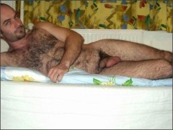 carson-bear:hairy bear yum check out my archive