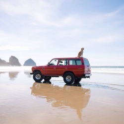 maddieonthings:  Dear Maddie and FJ60, Y’all