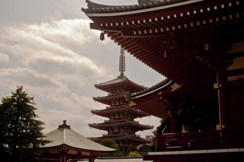 Asakusa dreams