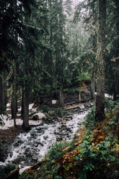 oh-haroo:  Personal - Nature 
