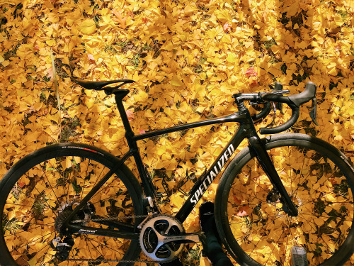 thespecializeddigest: Autumn/Roubaix.-@angelocalilap