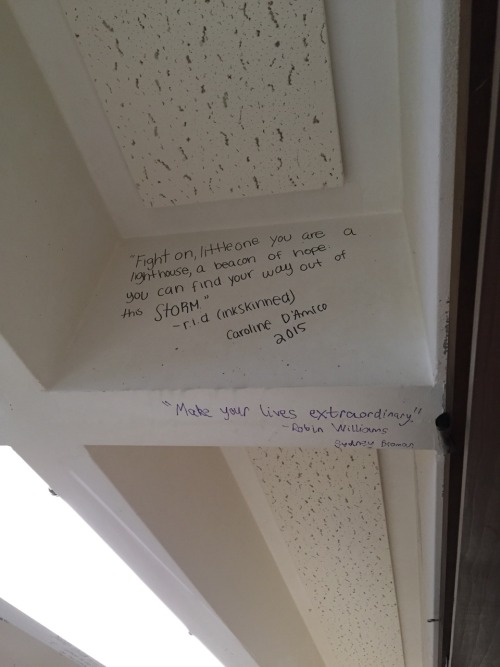 glittergirl2007:  Today was my last day of sophomore English class and my teacher had us write quotes on the ceiling so naturally I chose one by inkskinned