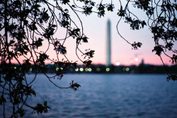 grett:  Washington, DC by shawn lenker on