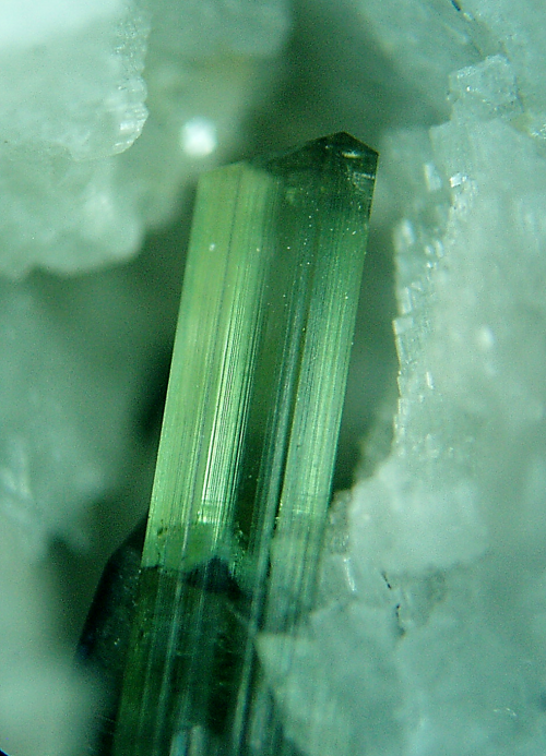 rockon-ro: GREEN  TOURMALINE crystal from Brazil. Photo taken with a microscope at 10X magnific