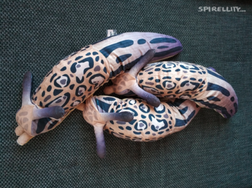 path-of-the-sound:spirellity:spotted sluggos are a thing nowhttp://spirellity.com/they are named reg