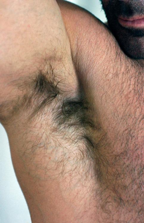 thisutahbear:  ~ ~ ~ ~ ~ ~ ~ ~ ~ ~ ~ ~ ~ ~ ~ ~ ~http://thisUTAHbear.tumblr.com