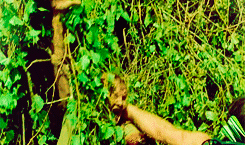 The Walking Dead
