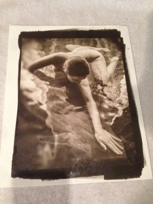 Fresh out of the rinse! Platinum print by Dan West!