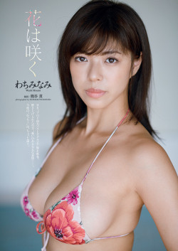 gravurefan:  わちみなみ 「花は咲く」 - 週刊プレイボーイ 2018年11月26日号 No.48 購入: Fujisan.co.jp・honto