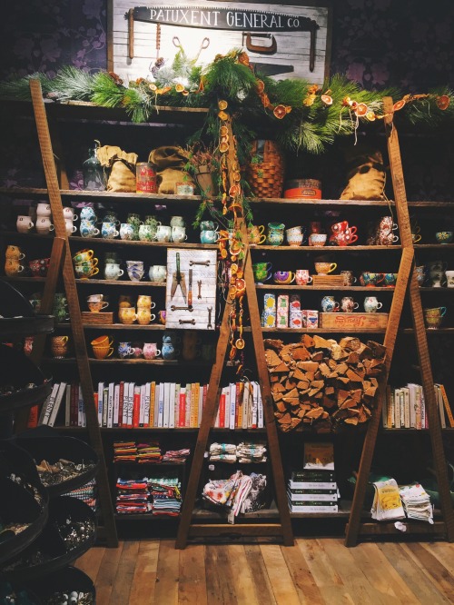 Stumbled upon this cute little gem in anthropologie…books and mugs?! What more could anyone ask for?