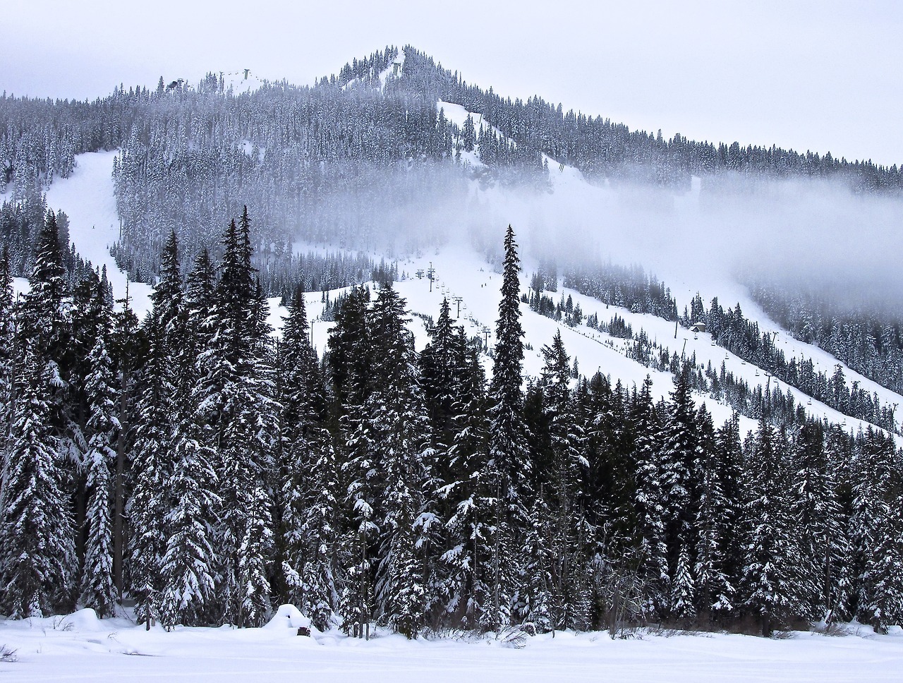 justemoinue2:White Pass, Washington